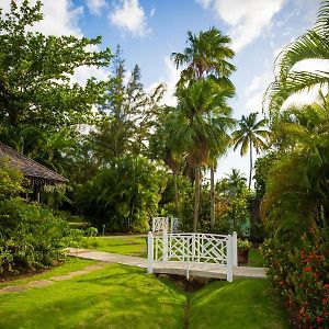 Superior Cottage Garden View